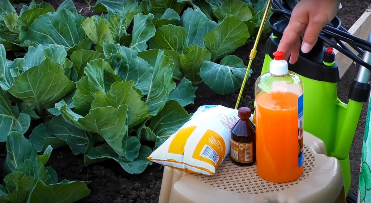 Три компонента для раствора 