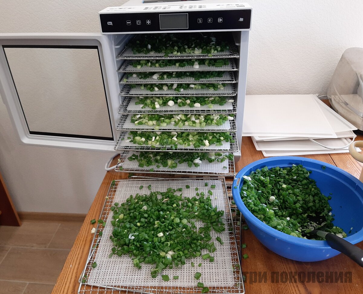 Зелёный лук хранение. Зеленый лук в холодильнике. Лук стручок. Зелёный лук на зиму. Зеленый лук в холодильнике.