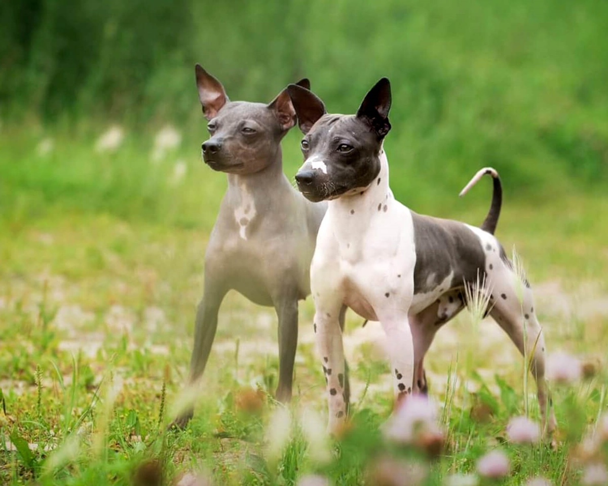 Фото из открытых источников в Интернет