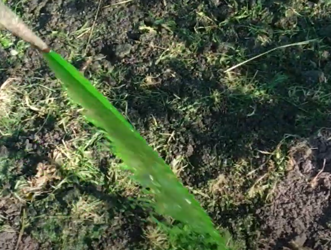 нанесение гидропосевной смеси