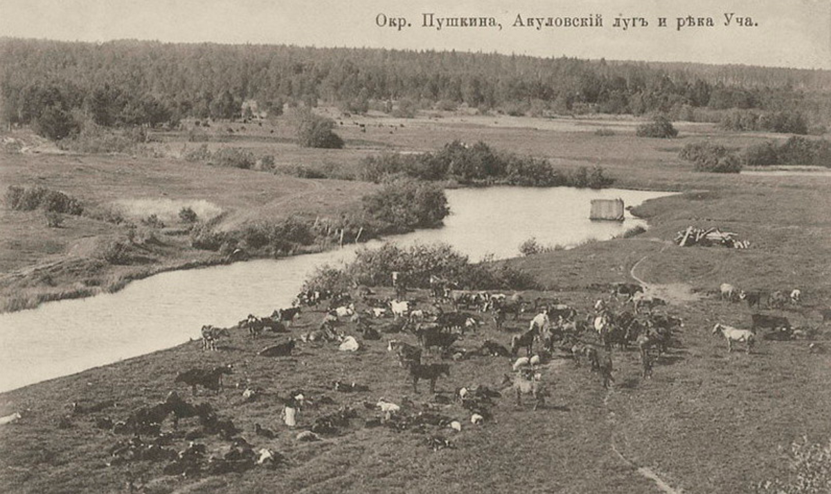 Местность до затопления. Источник: проект "Акулово. Местная история"