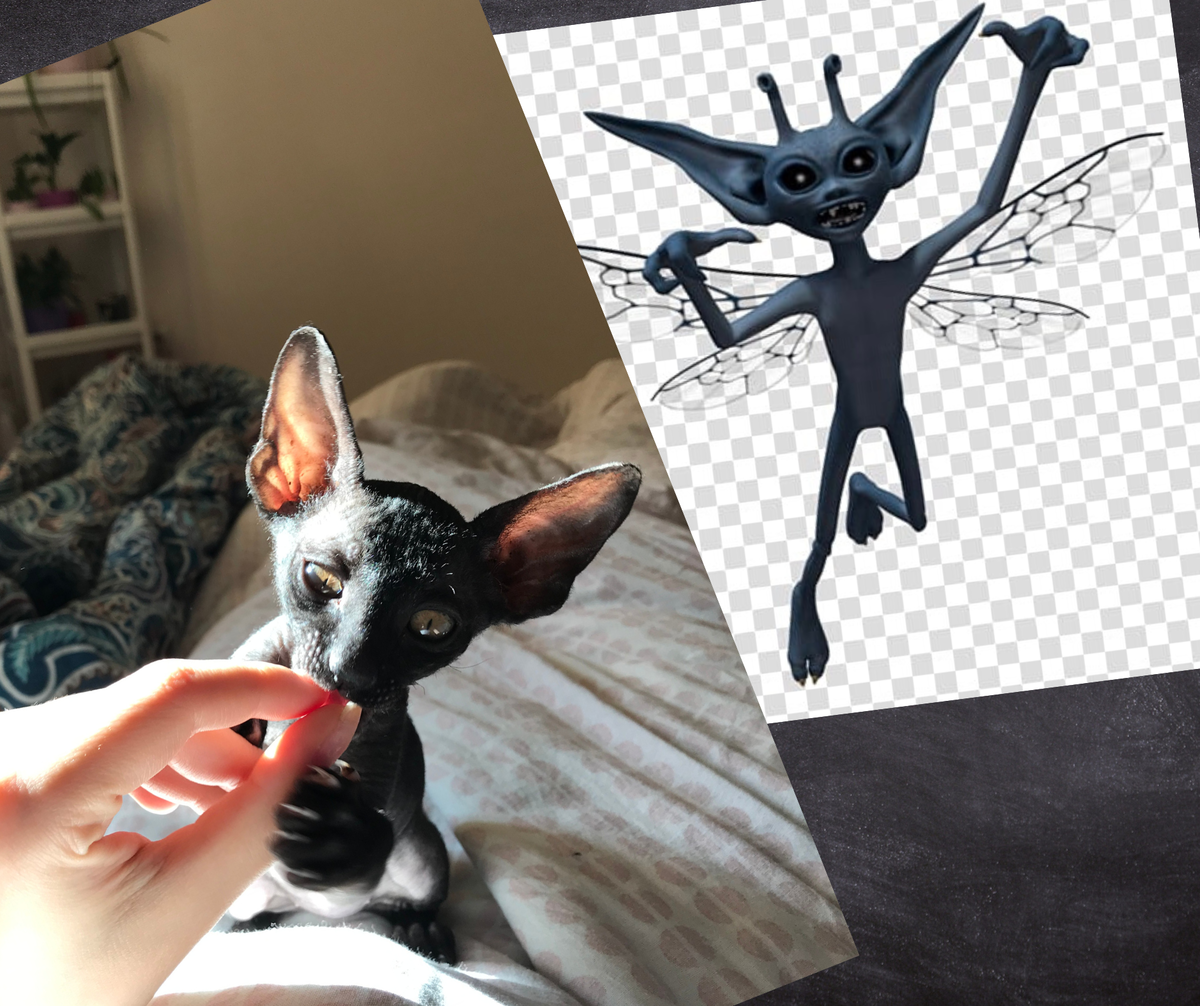 Сходство очевидно 😂