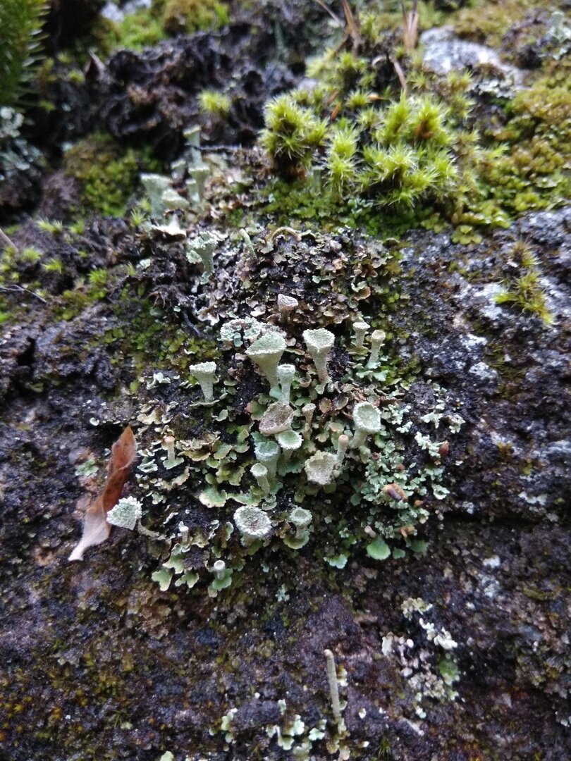 2018, Хамар-Дабан, Россия, фото из семейного архива
