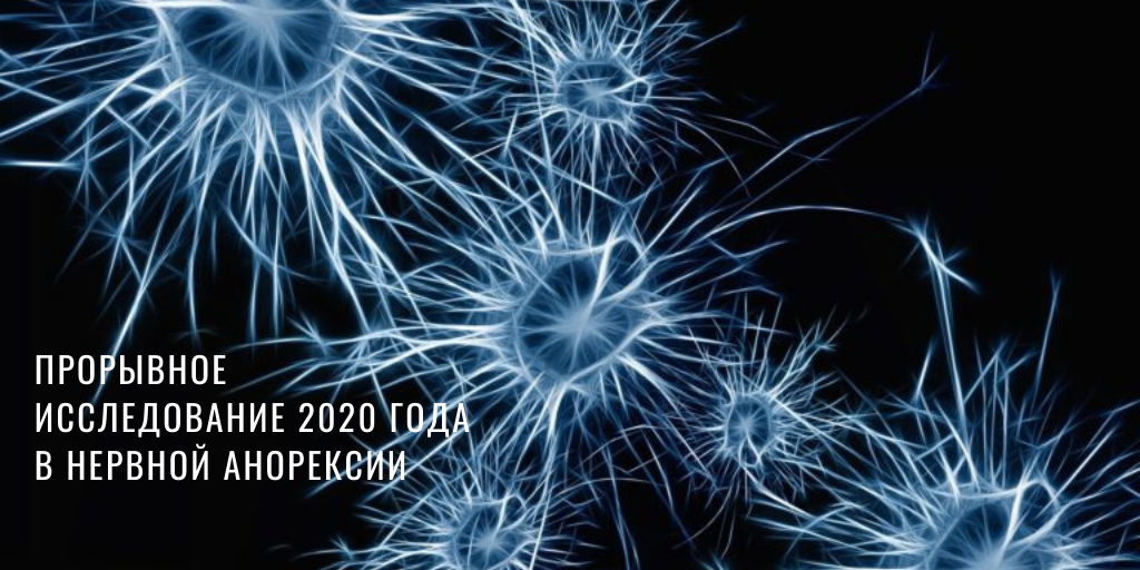 Доктора Синтия Булик и Уолтер Кэй (Cynthia Bulik, Walter Kaye), исследование, опубликованное в журнале Nature Genetics