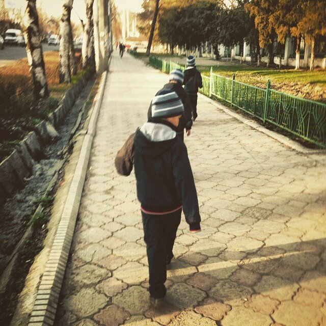 фото взято из интернета