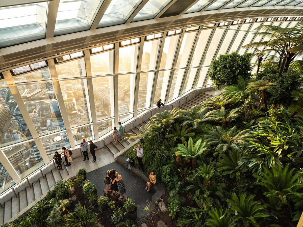 Sky garden объединяет в себе экзотический сад, смотровую площадку и место, где можно посетить ресторан и перекусить с удивительным видом на весь Лондон  