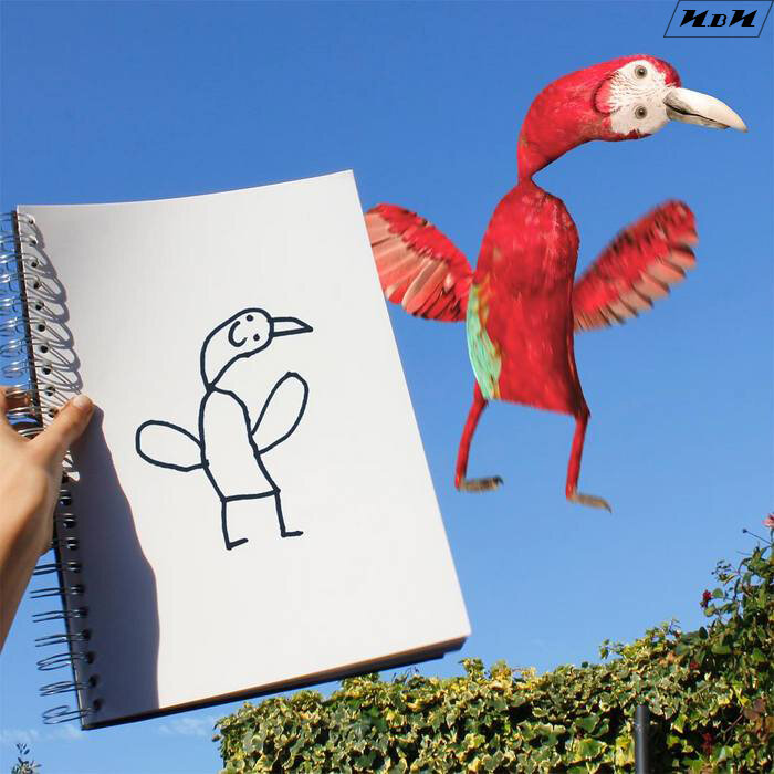Источник фото: instagram.com/thingsihavedrawn
