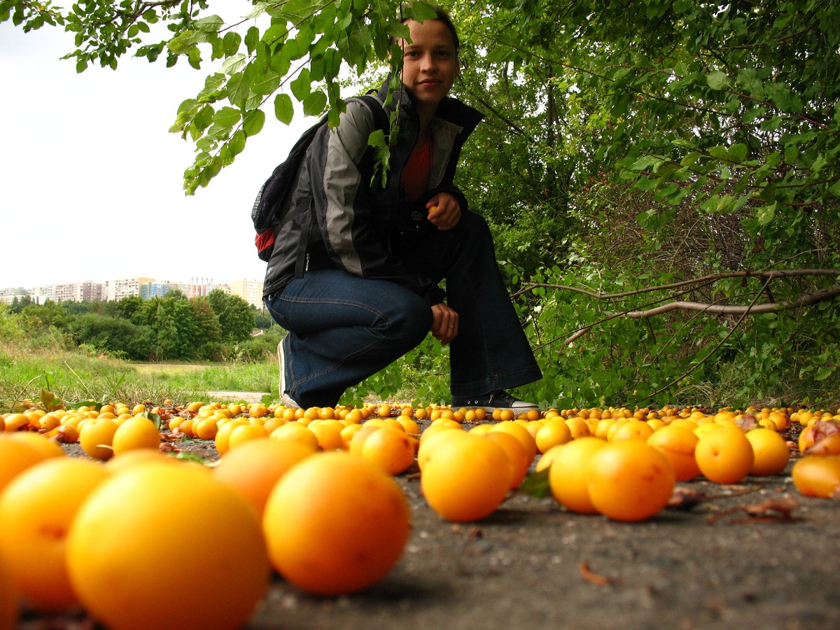 Чехия, Прага