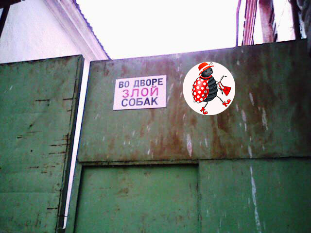 Объявление на воротах. Фото автора из личного архива 