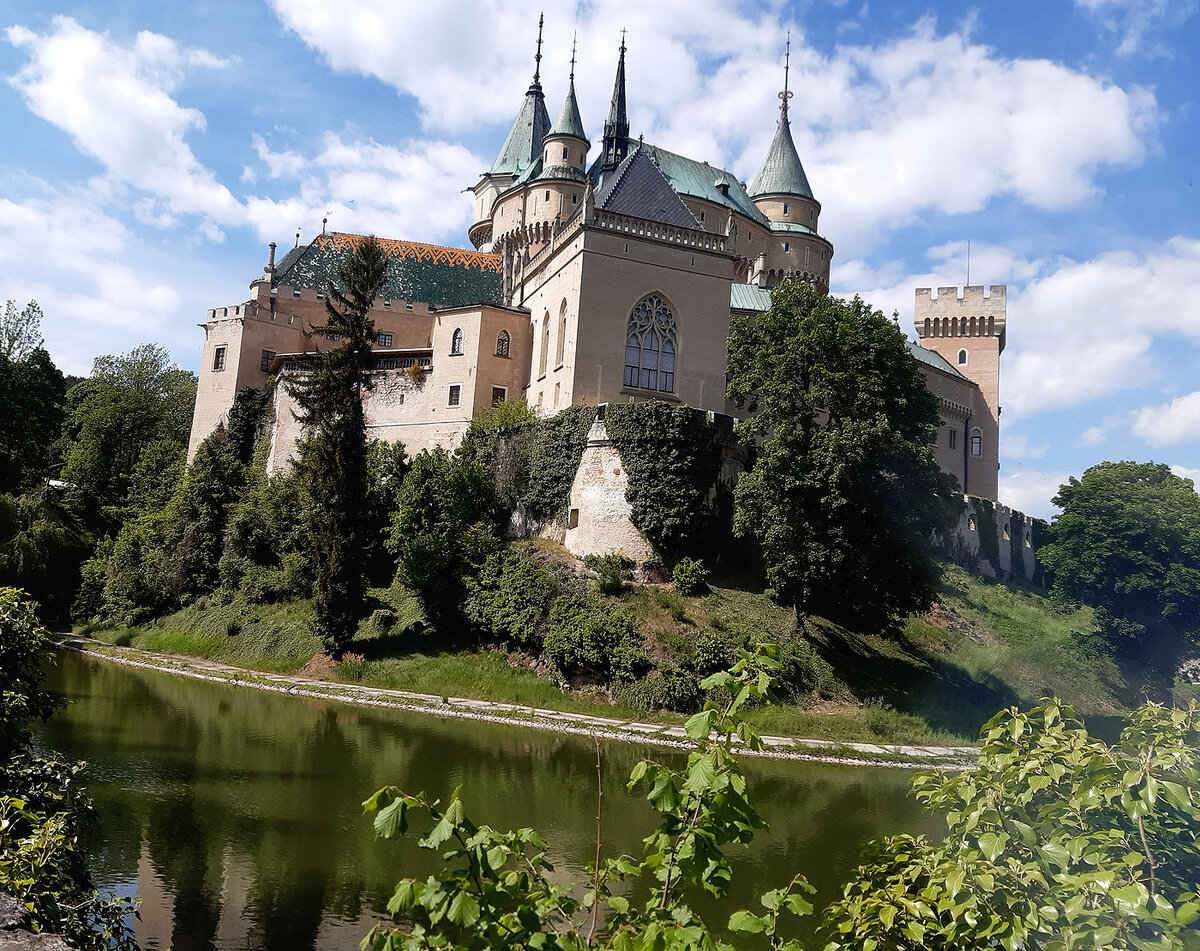 Вот таким я увидела его в первый раз! Фото автора