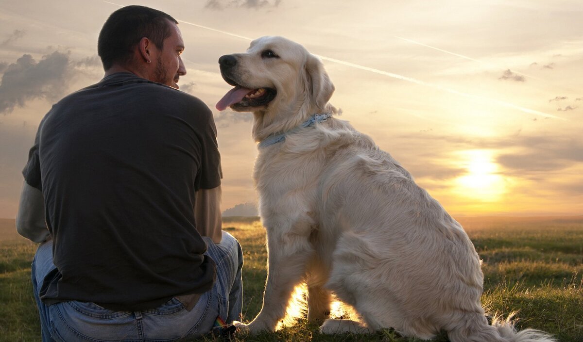 Фото взято из открытого источника.