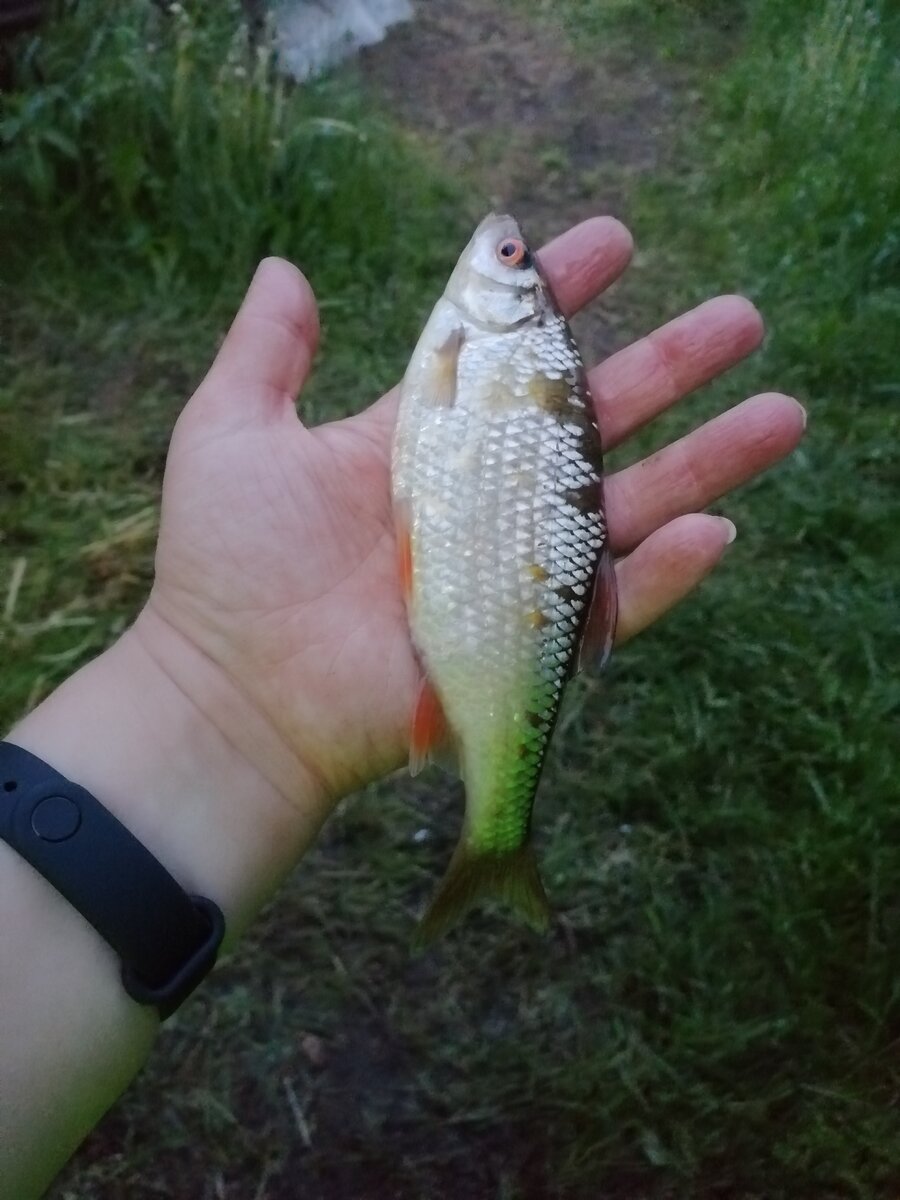 Листайте галерею