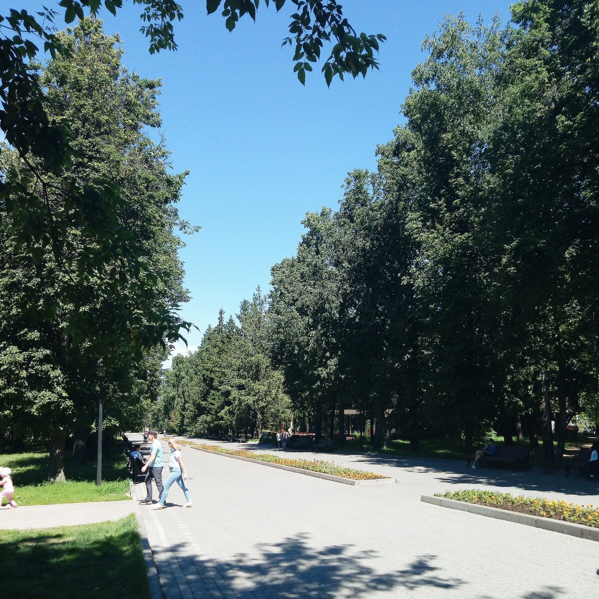 ухоженная главная аллея