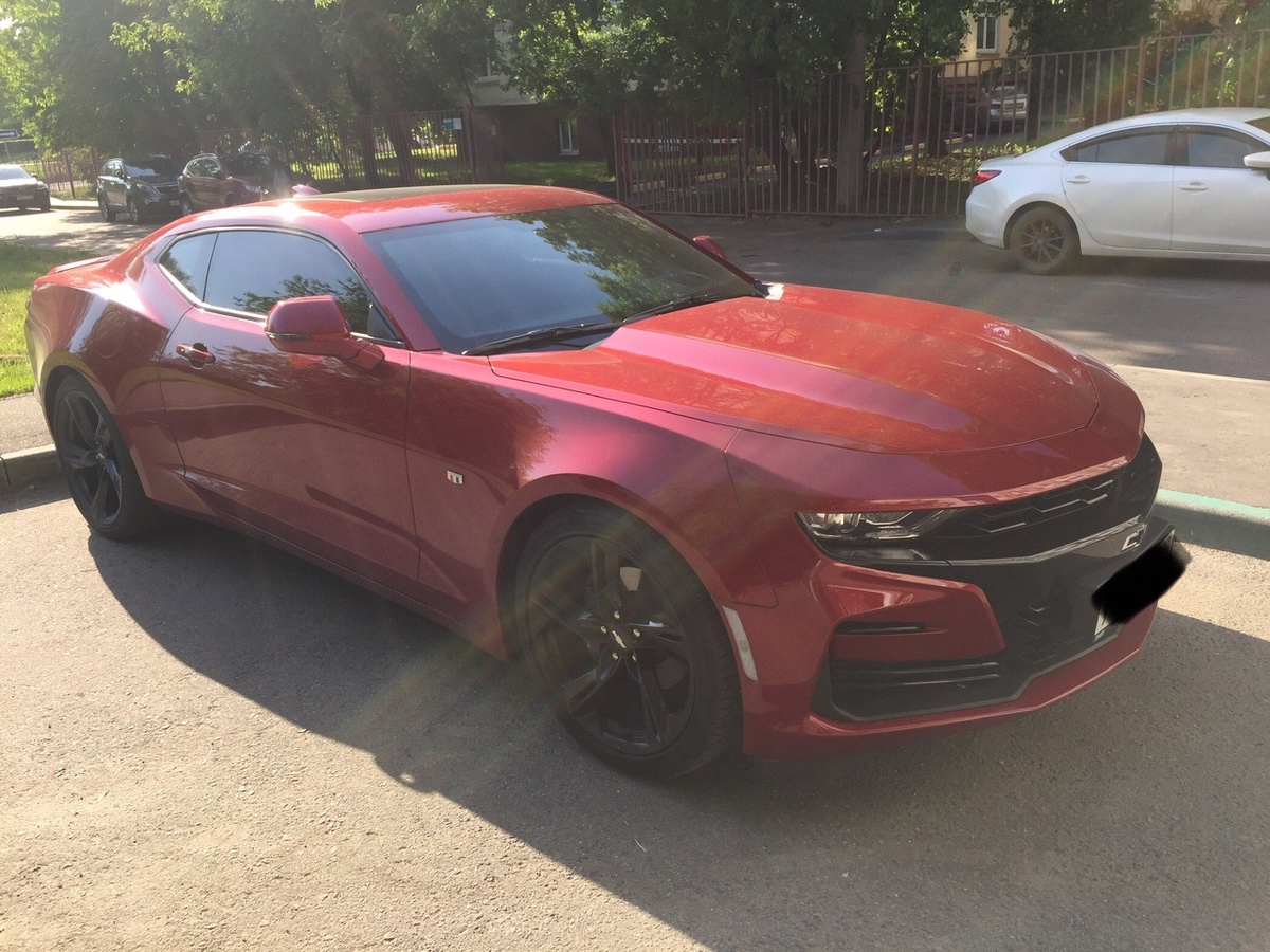 Фото из личного архива, какой красавец 