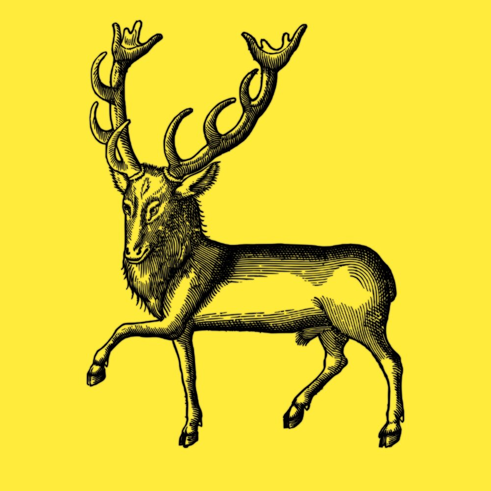 Его прозвище "Олень"