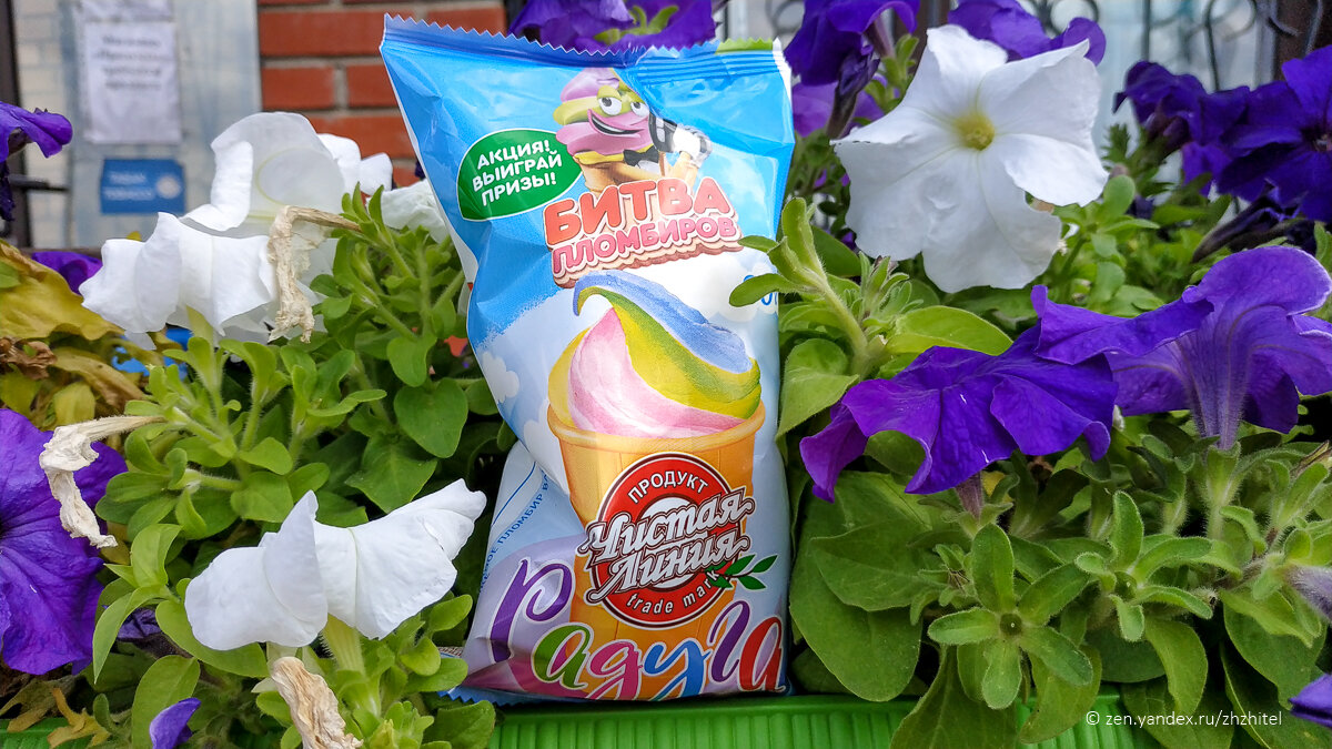 Мороженое «Радуга», возбудившее председателя Союза Женщин России