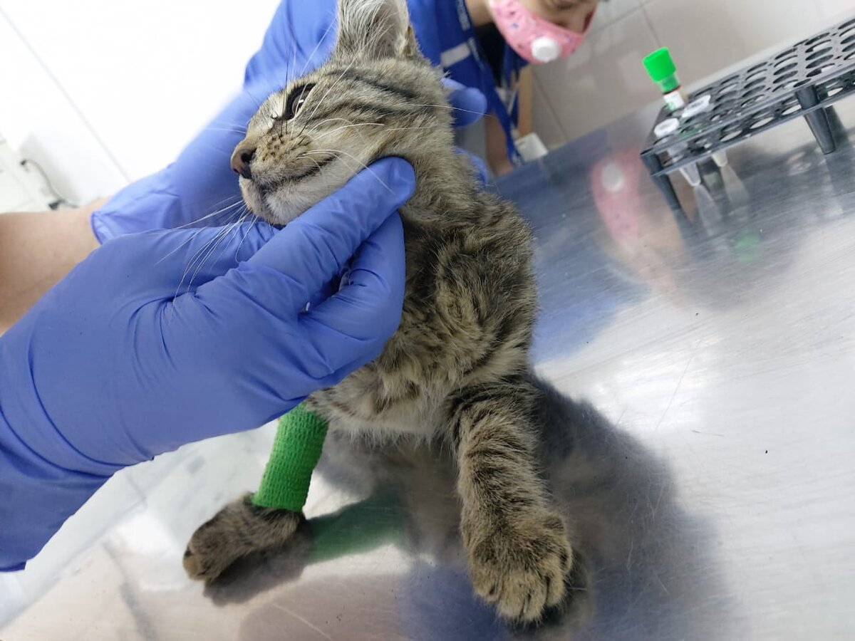 Взятие анализов