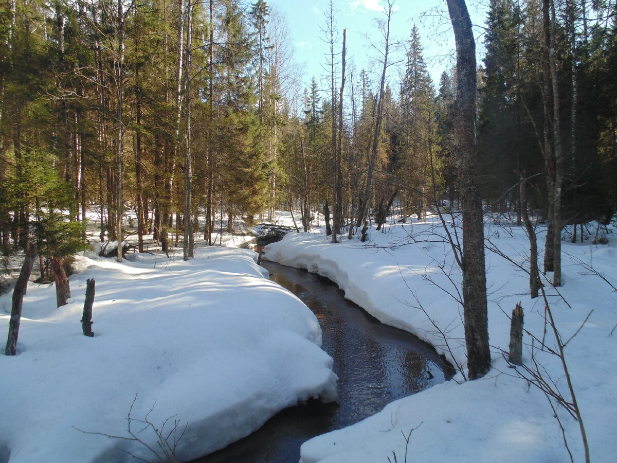 Зимняя сказка реки Смородинка. Первая часть: Природа.
