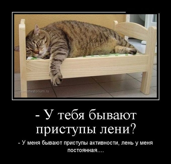 Изображение найдено на просторах Интернета 