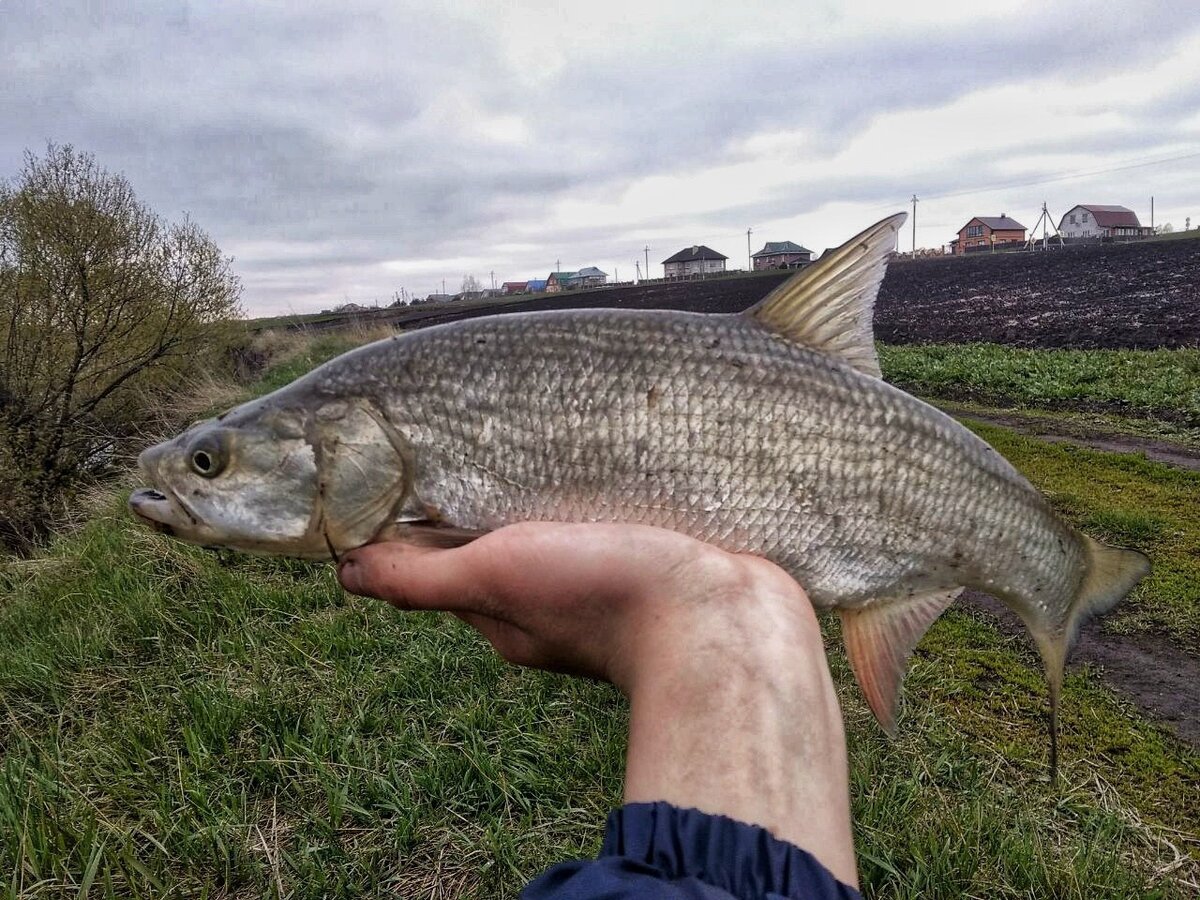 Всем хорошим людям - приятного прочтения!