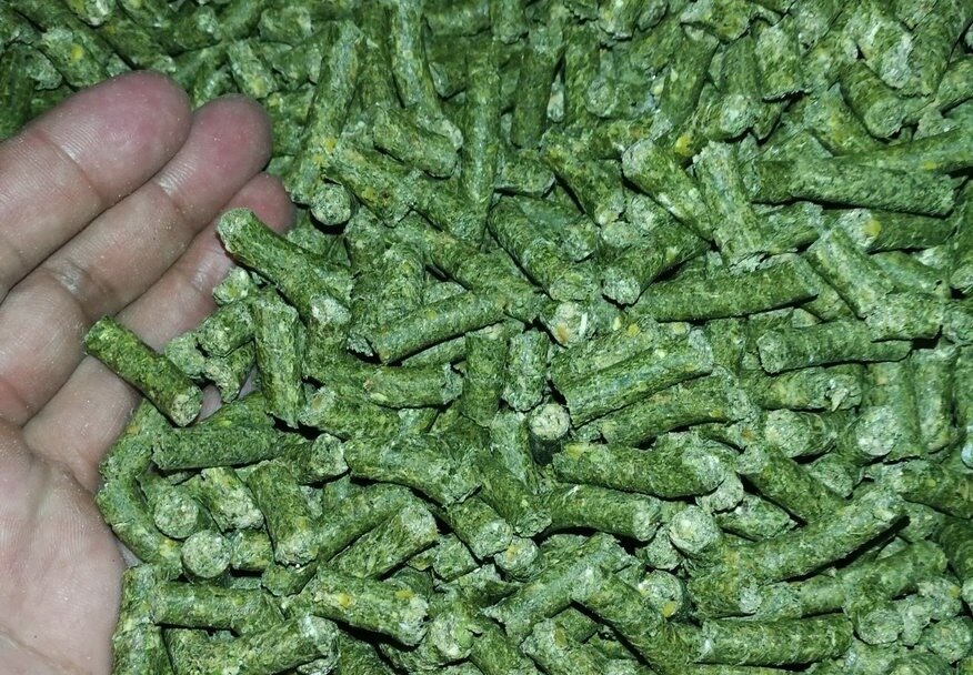 гранулированный корм