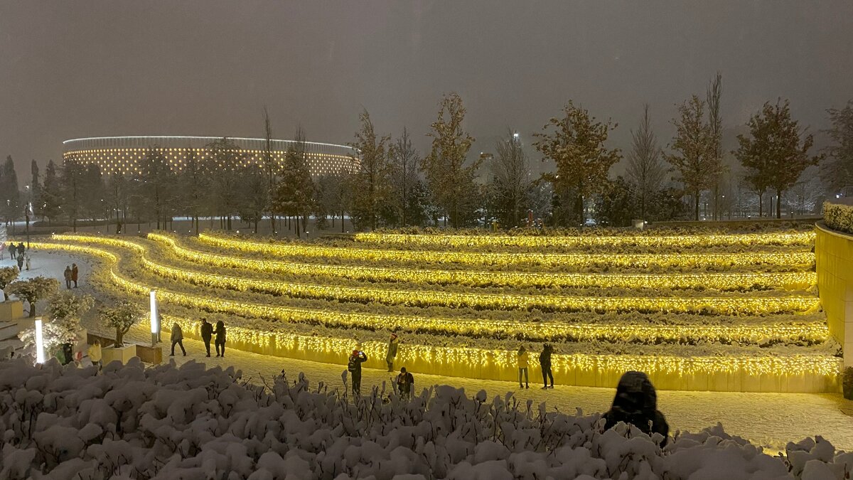 Кто создал парк галицкого в краснодаре фото