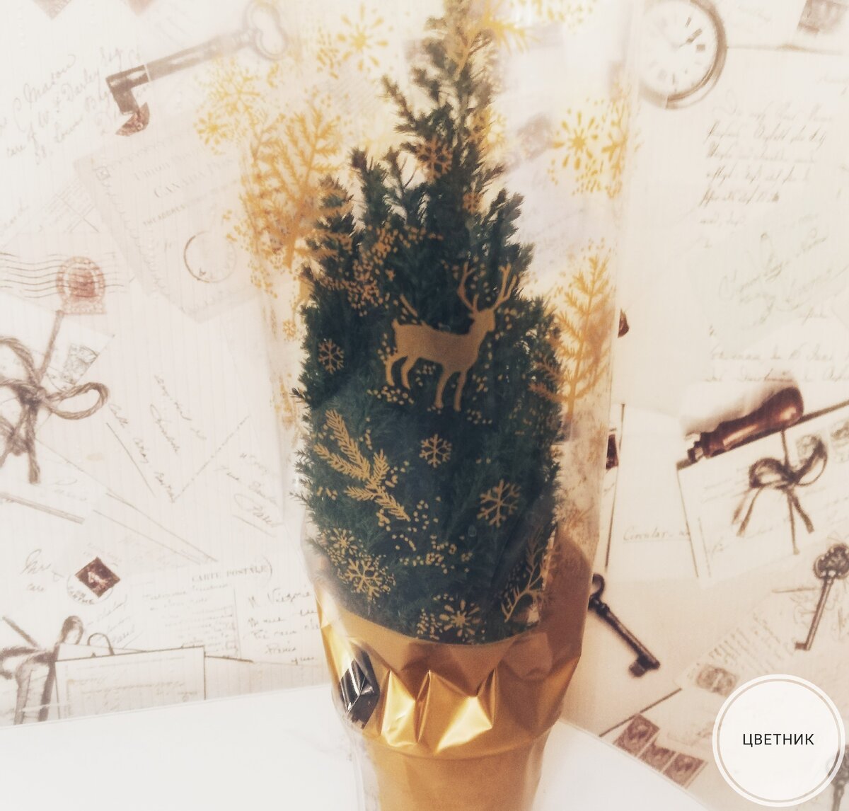 Дети его восприняли как Елку и уже делают Новогодние игрушки.