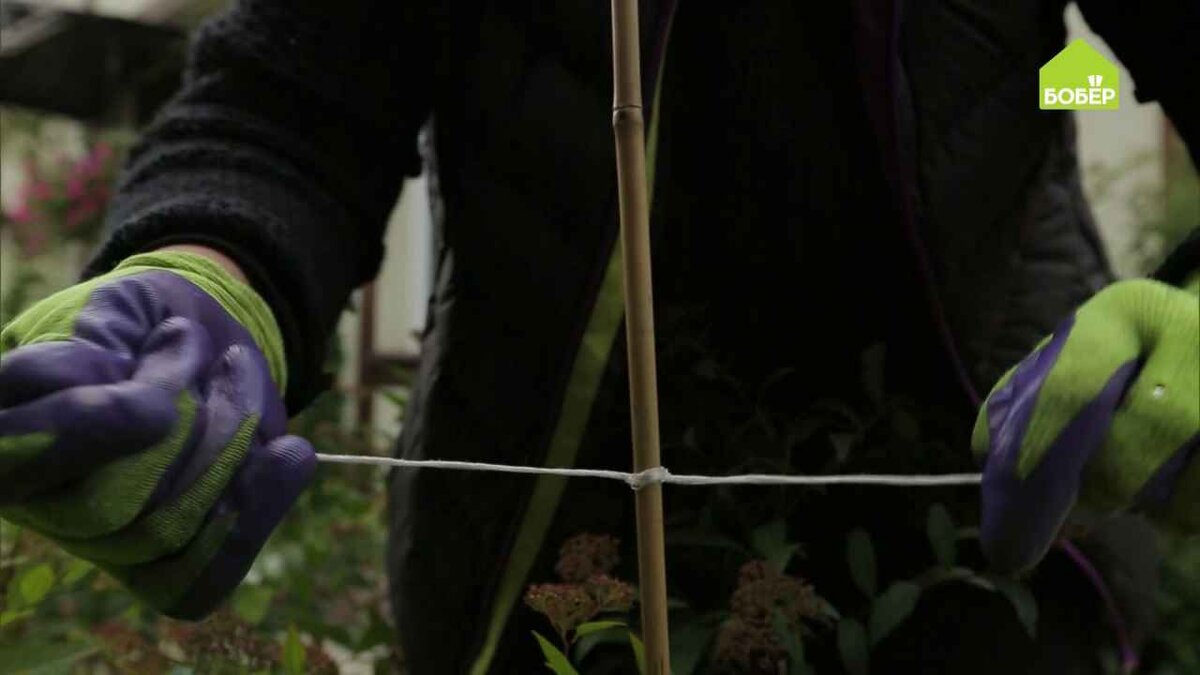 Привяжите между ними верёвку.