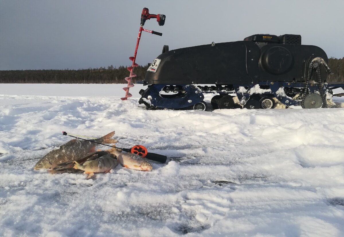 Мотобуксировщик Барс. 