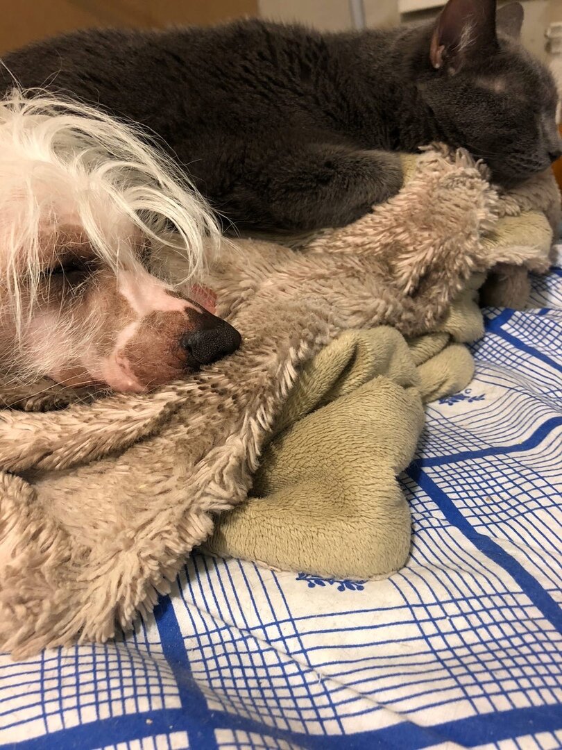 Ваня у меня дома после ванный