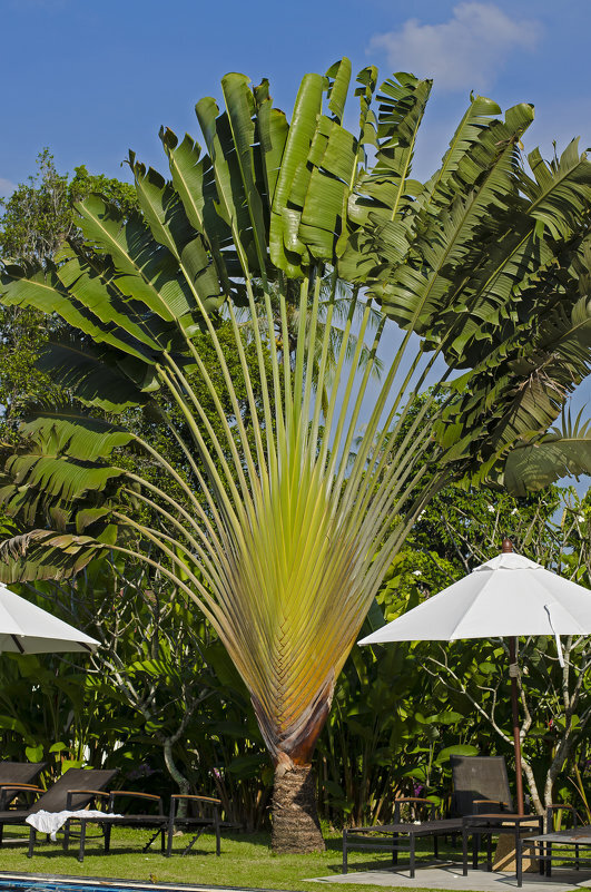 Фото с fotokto.ru