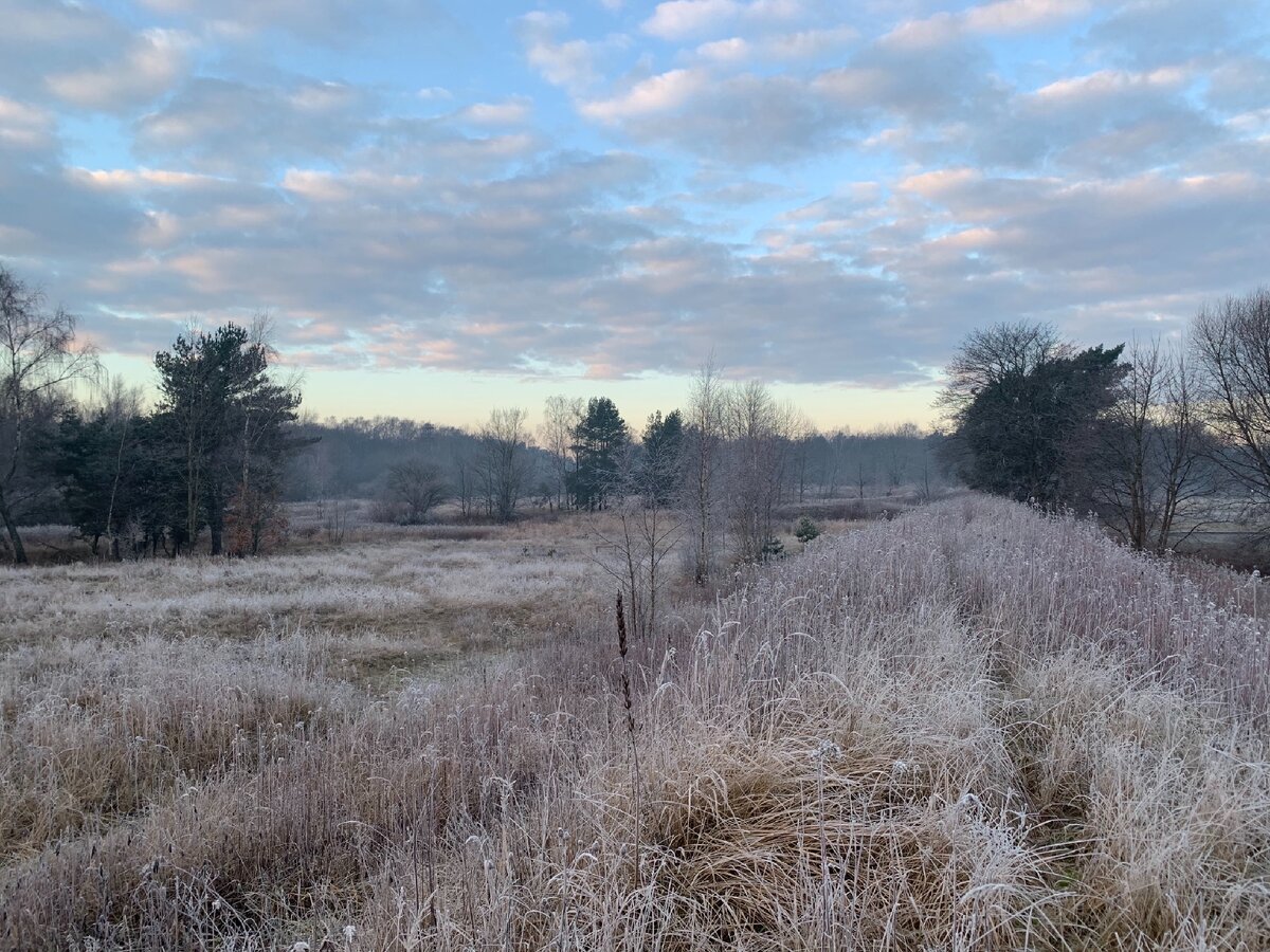 31 декабря была красивейшая изморозь