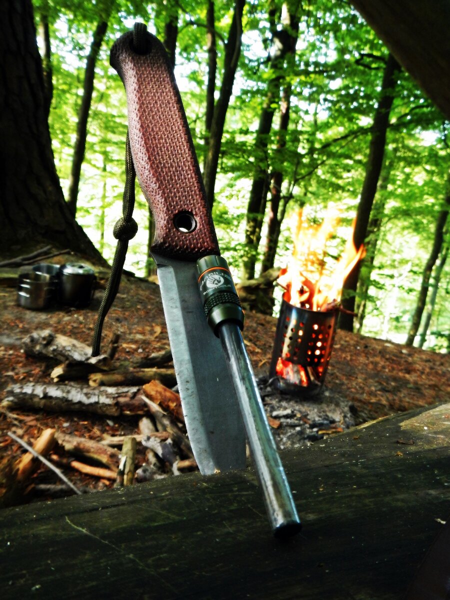 Изображение из интернета.