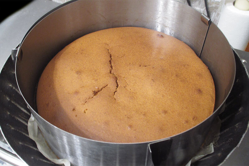 Коржи для торта — 10 рецептов с фото. Как сделать простые коржи для торта в домашних условиях?