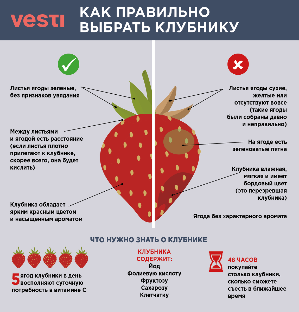 Ранняя клубника особенности правильного выбора и употребления |  https://agro-sales.ru | Дзен