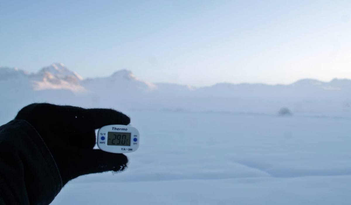 Фото из твиттера: Noromet