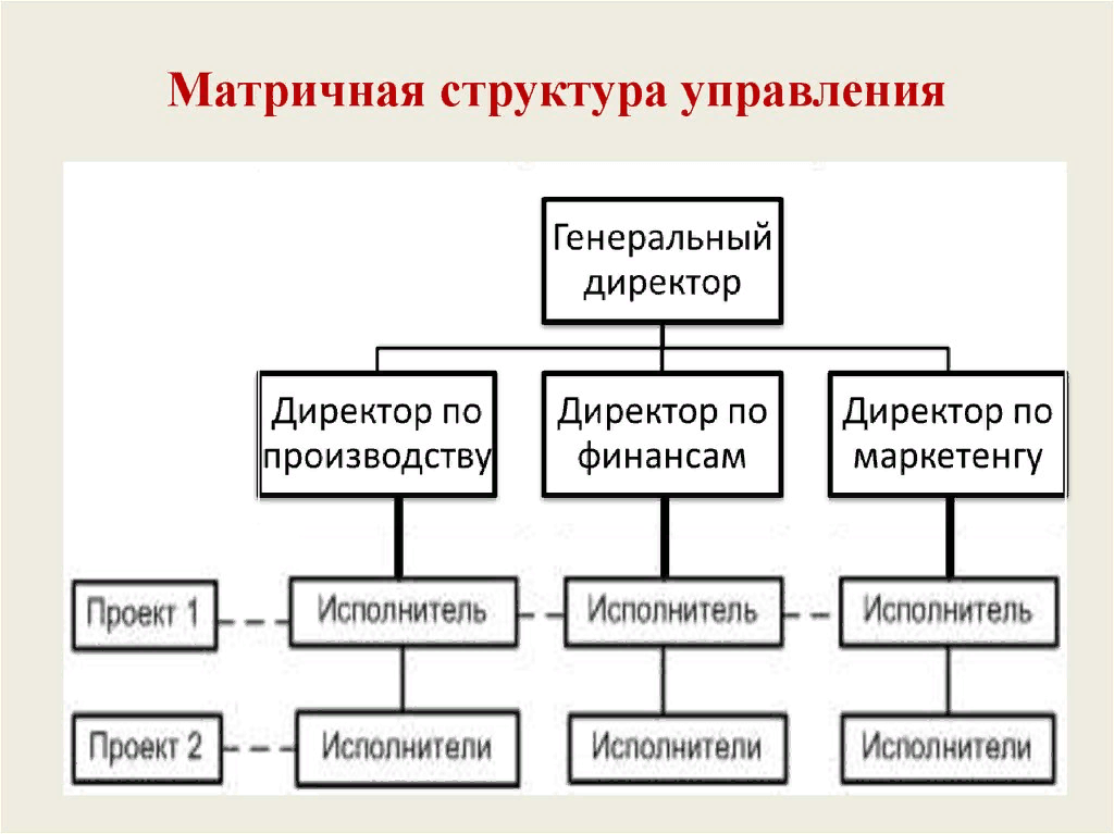 Типы организационные структуры проекта