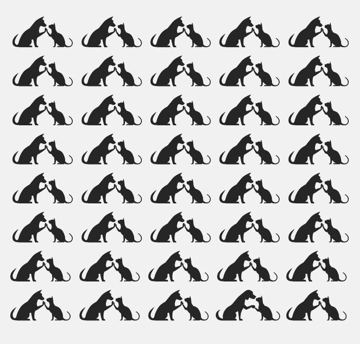 Фото свободно распространяется.. 