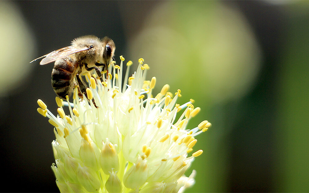 Фото автора. Снимок не имеет прямого отношения к истории, а лишь косвенно иллюстрирует публикацию.