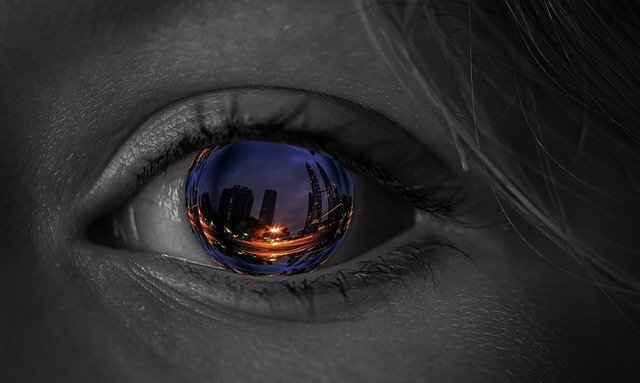 Источник: https://pixabay.com/