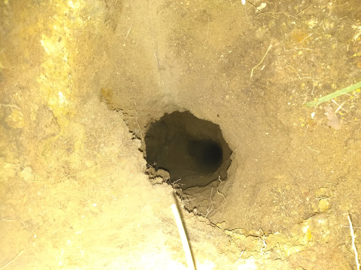 а уже темнеть начало.