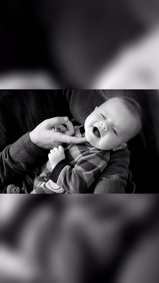 Фото с сайта https://clck.ru/Vy8Lf