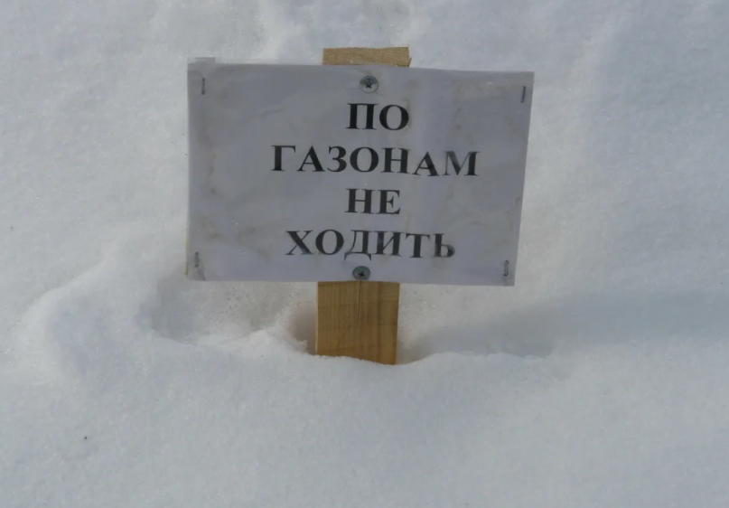 -Девушку отпусти и вали по адресу прописки. Тебе ж понятным языком сказали, что она тебе не невеста, - Макс ловко отцепил скрюченные пальцы Бориса от руки Милы и аккуратно отодвинул его в сторонку.-2