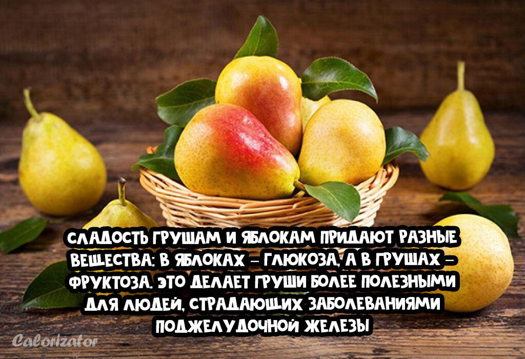 Груша тяжелее яблока. Груша конференция бжу на 100 грамм. Что полезнее груша или яблоко. Полезные вещества в груше. Что полезней яблоко или груша.