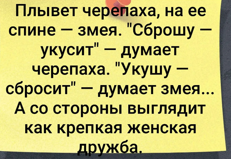 Анекдоты убойные до слез с картинками