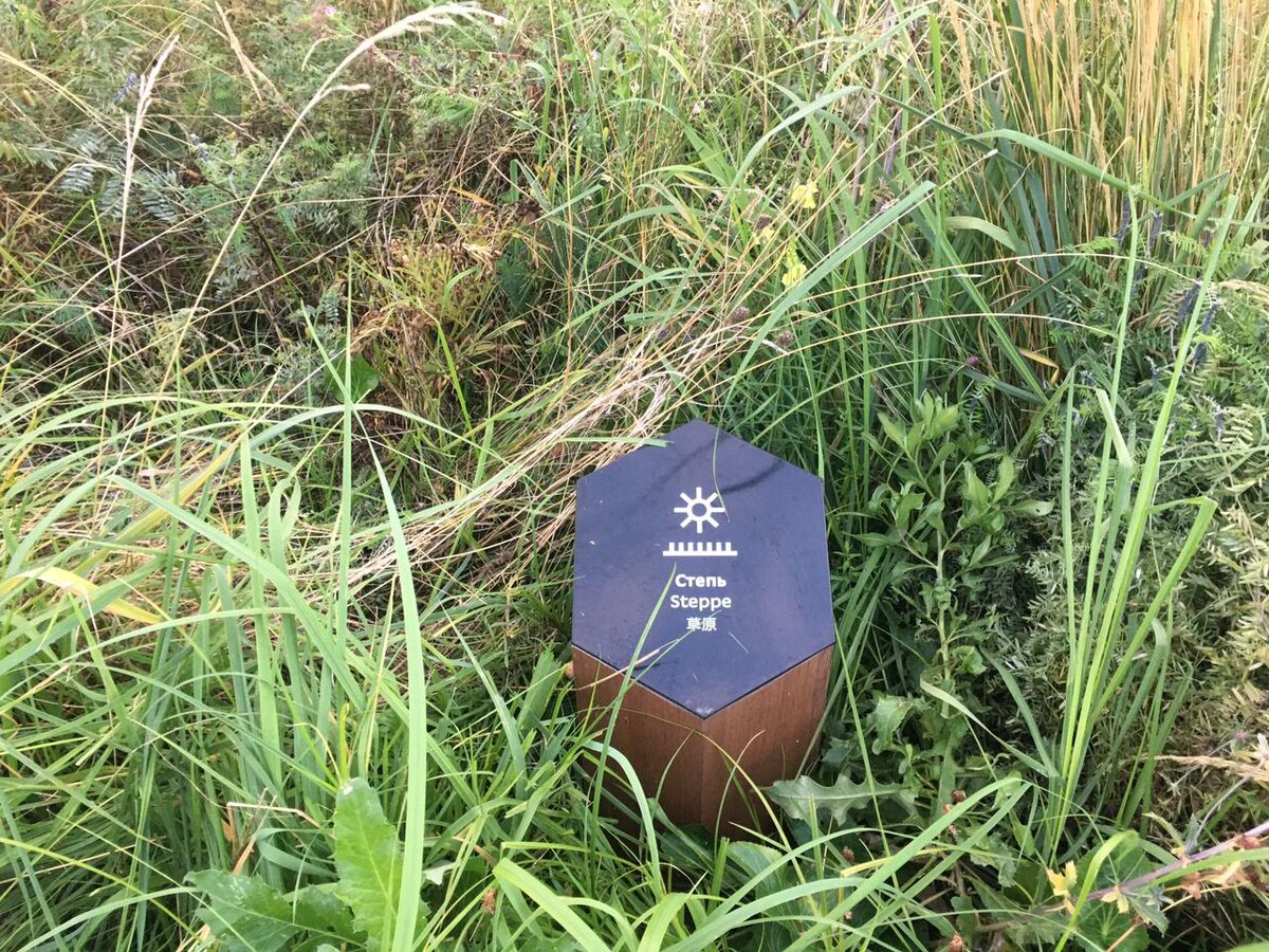 Указатель "Степь".