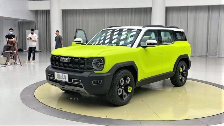Haval X Dog