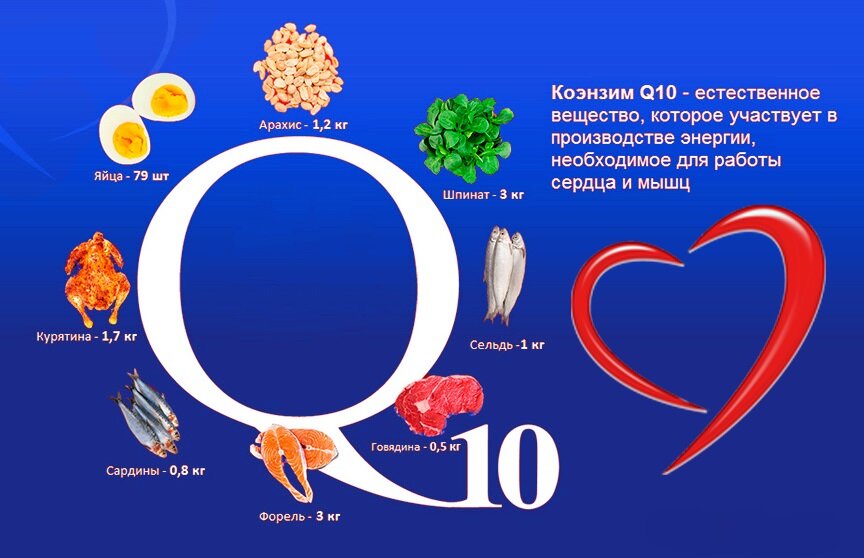 Коэнзим q10 продукты таблица 441. Какие витамины и минералы нужны тем, кто пьет лекарства? Минус фунт Дзен