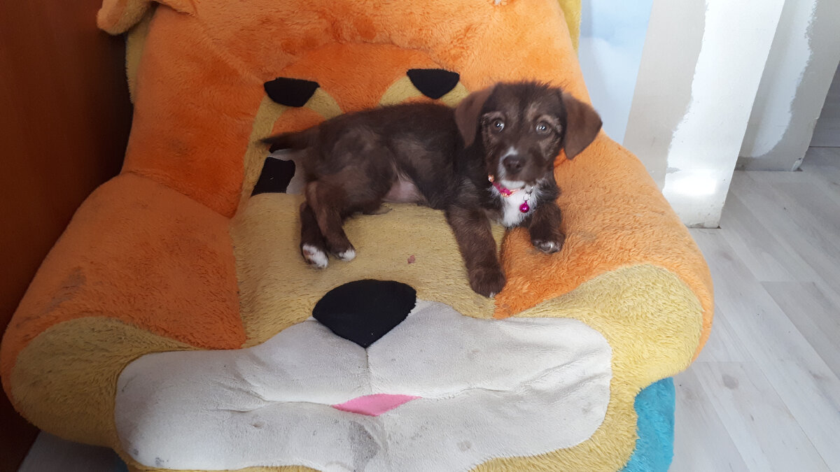 Первый день Яны в новом доме