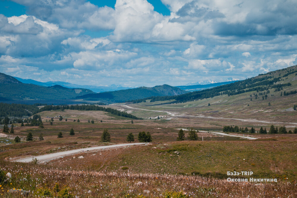 Вот эта дорога